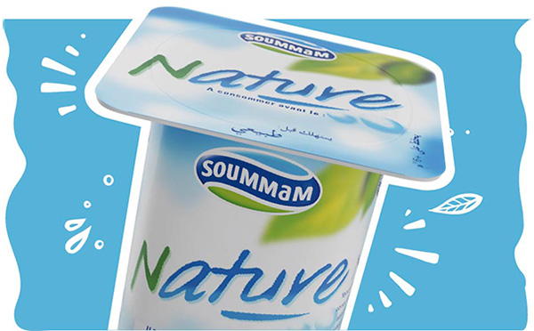 Soummam yaourt Nature 100g